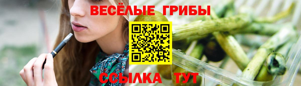 Галлюциногенные грибы Magic Shrooms Благовещенск